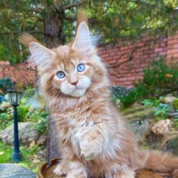 WhatsApp Image 2026-02-02 at 23.36.15